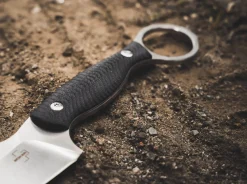 Accomplice D2><noscript><img width=