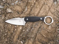 Accomplice D2><noscript><img width=