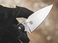 Accomplice D2><noscript><img width=