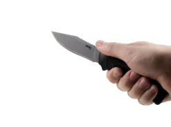 Ace><noscript><img width=