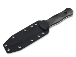 Alacrán><noscript><img width=