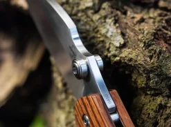 Anso 67 Pro><noscript><img width=