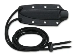 Biwa><noscript><img width=