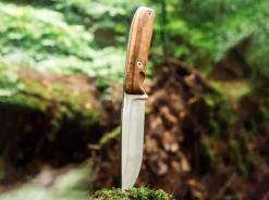 Blaze D2 Walnut><noscript><img width=