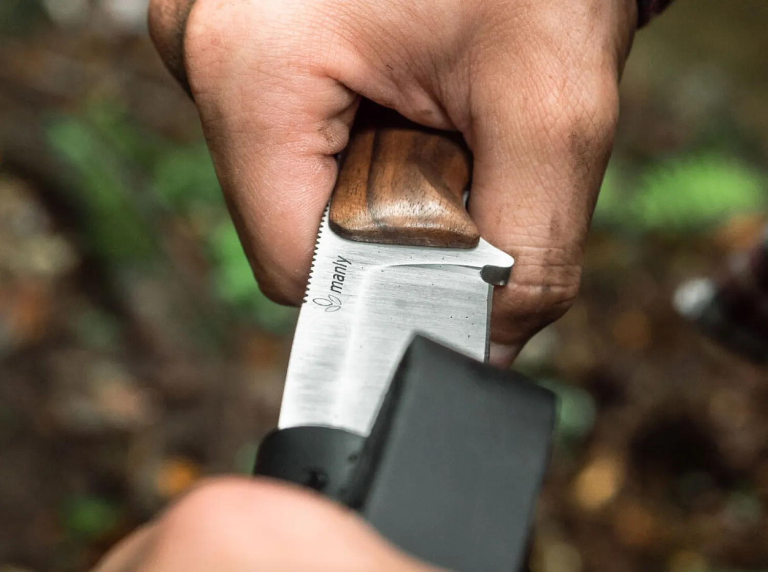 Blaze D2 Walnut>Manly Hot