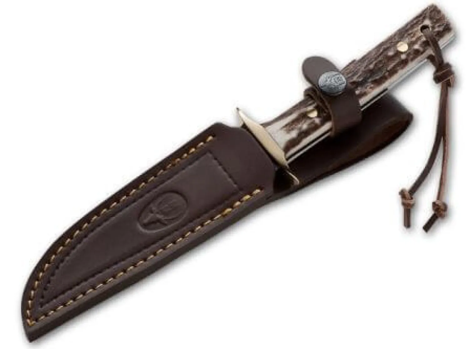 Bowie Medium>Muela Clearance