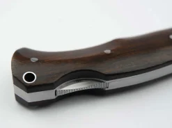 Boxer Wüsteneisenholz><noscript><img width=