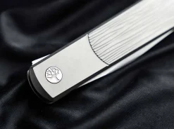 BRLW><noscript><img width=