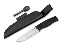 Bronco><noscript><img width=