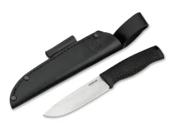 Bronco Basic><noscript><img width=