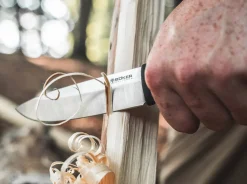 Bronco Basic><noscript><img width=