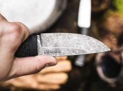 Bronco Mini><noscript><img width=