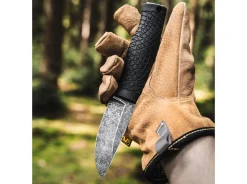 Bronco Mini><noscript><img width=