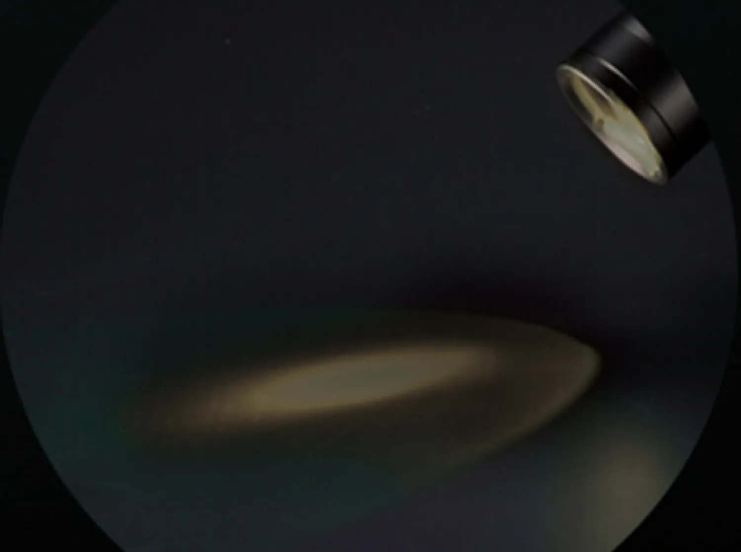 Chameleon Weiß / Infrarot>Nitecore