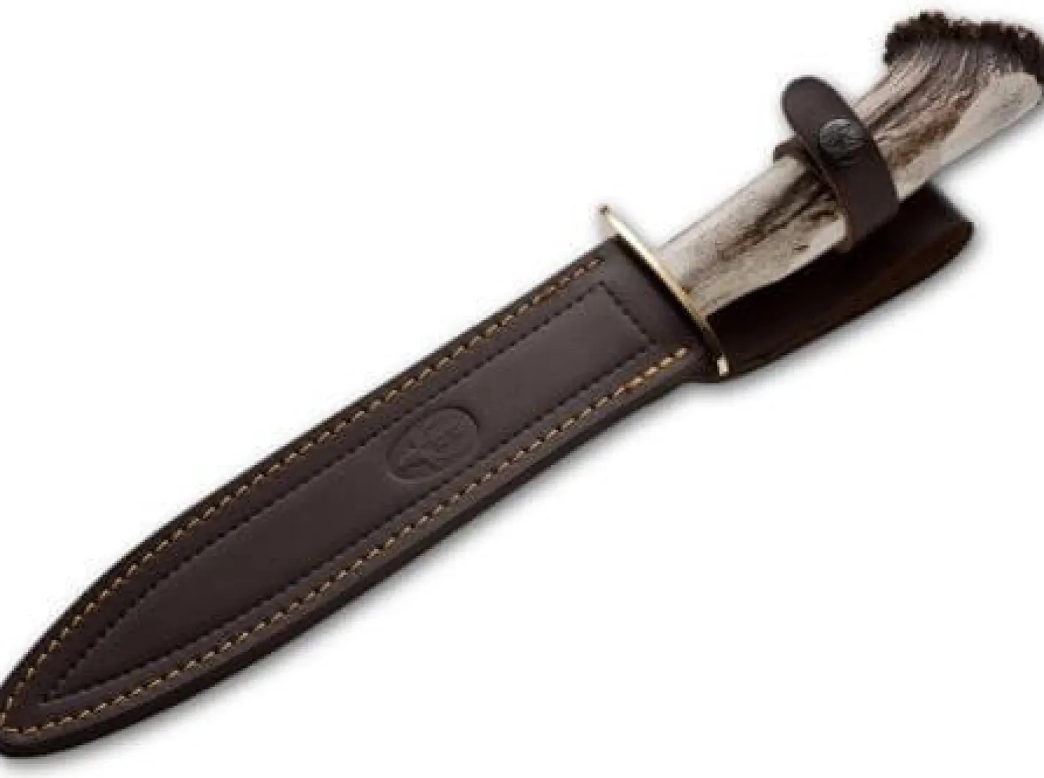 Chevreuil>Muela Discount