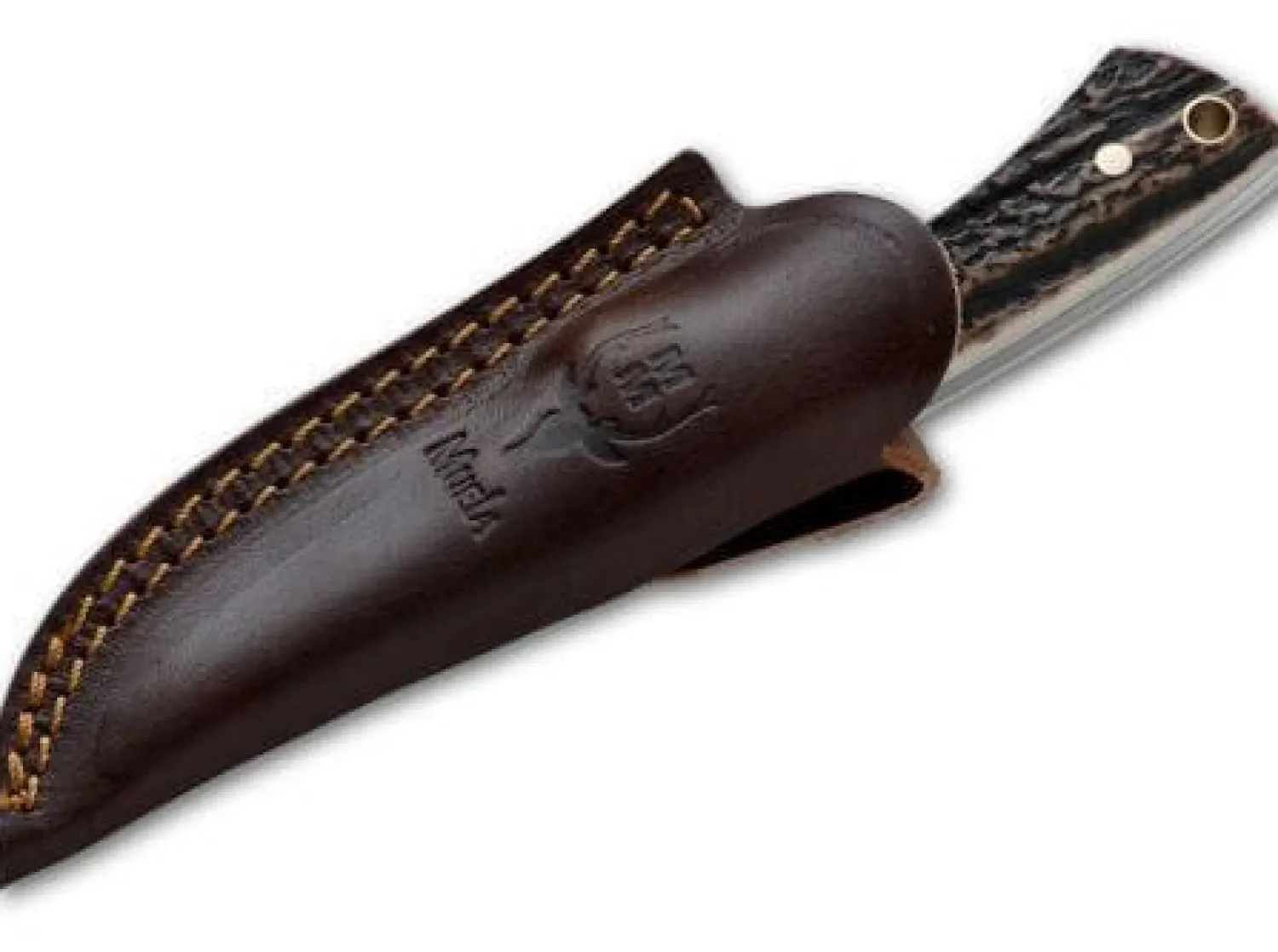 Colibri Stag>Muela New