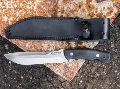 Collection 2023><noscript><img width=