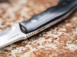 Collection 2023><noscript><img width=