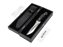 Collection 2023><noscript><img width=