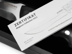 Collection 2023><noscript><img width=