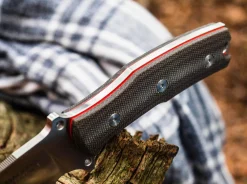 Collection 2021><noscript><img width=