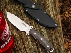 Collection 2021><noscript><img width=