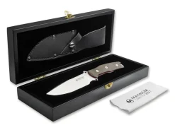 Collection 2021><noscript><img width=