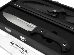 Collection 2020><noscript><img width=