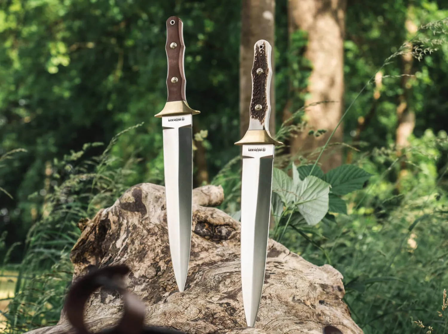 Colmillo Guayacan>Böker Arbolito