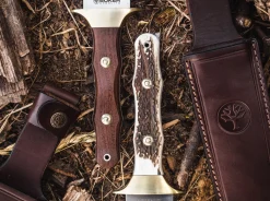 Colmillo Guayacan><noscript><img width=