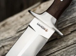 Colmillo GX><noscript><img width=