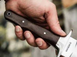 Colmillo GX><noscript><img width=