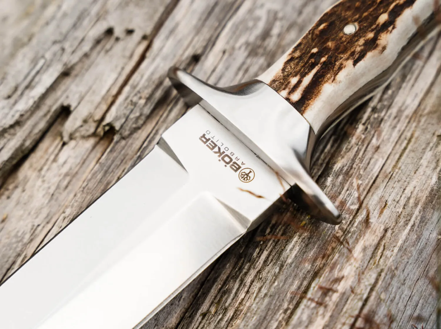 Colmillo HX>Böker Arbolito Outlet