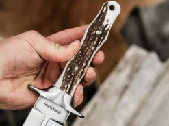 Colmillo HX><noscript><img width=