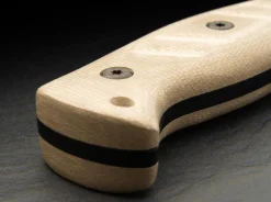 Desert Warrior 2.0><noscript><img width=