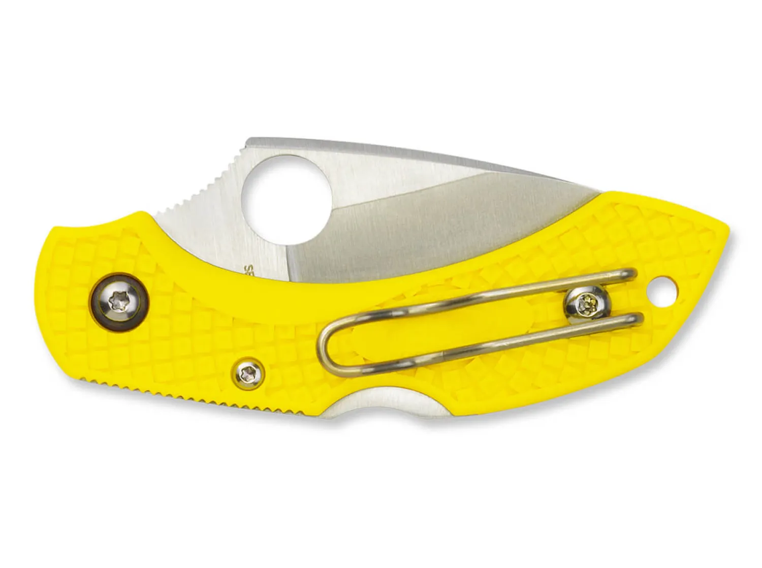 Dragonfly 2 Salt Plain>Spyderco Best