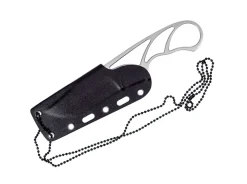 Druid 281><noscript><img width=