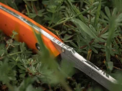 EFD><noscript><img width=