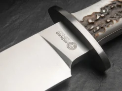 Esculta Hirschhorn><noscript><img width=