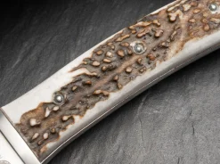 Esculta Hirschhorn><noscript><img width=