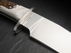 Esculta Hirschhorn><noscript><img width=