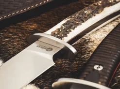 Esculta Hirschhorn><noscript><img width=