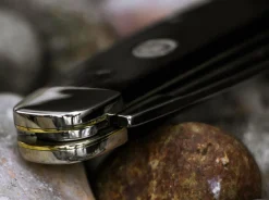 Fellow Ebenholz><noscript><img width=