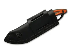 Field Dog><noscript><img width=