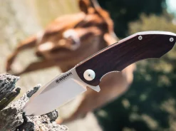 Folder Nahuel Guayacan><noscript><img width=