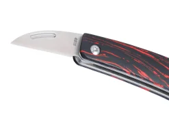 Forebear><noscript><img width=