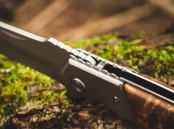 Forest Ranger 42><noscript><img width=