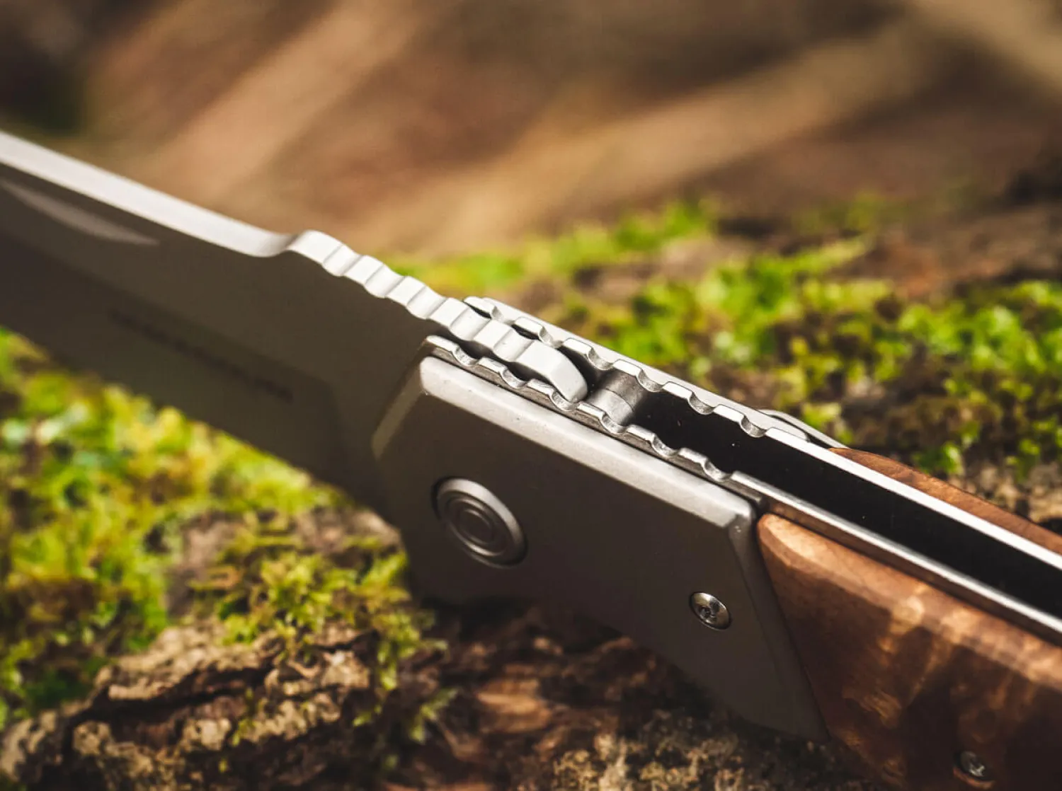 Forest Ranger 42>Magnum Discount