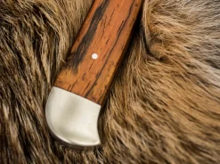 Försternicker Cocobolo><noscript><img width=