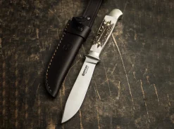 Försternicker Hirschhorn><noscript><img width=